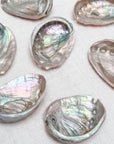 Abalone Shell — Mini