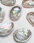 Abalone Shell