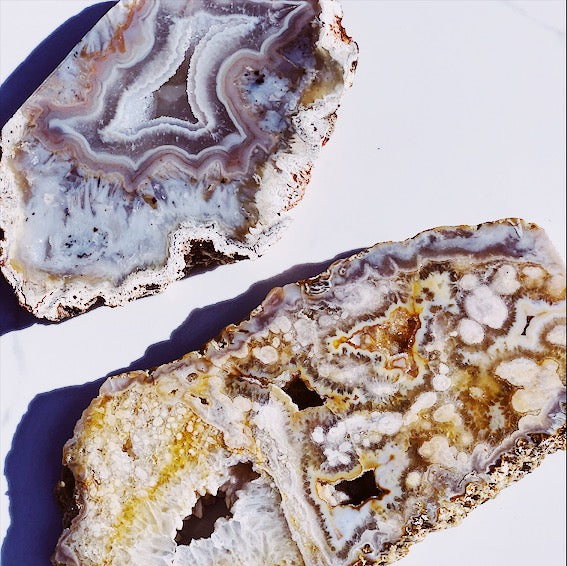Collection Image